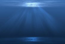 Ще одна версія Galaxy Note 9. Рендери, характеристики, початок продажів