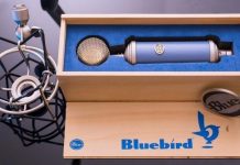 Какие микрофоны незаменимы в студии