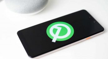 Android 10.0 Q від Google замінив Windows 10 і Linux