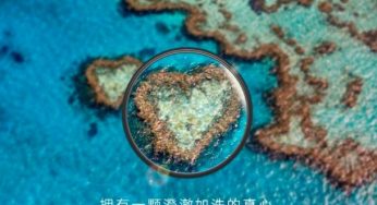 Камери флагманів Huawei P30 запропонують суперзум і вдосконалений режим нічної зйомки