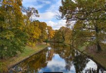 Vivo Nex 3 не поступився iPhone 11 в тесті камер