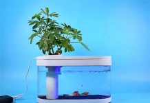 Представлений незвичайний акваріум Xiaomi Fish Tank