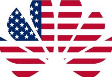 Епопея «США проти Huawei» підходить до завершення