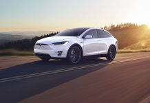 Tesla вирубує ліс і загрожує нестачею питної води заради нового заводу