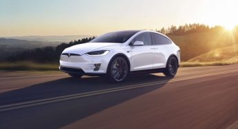 Tesla вирубує ліс і загрожує нестачею питної води заради нового заводу