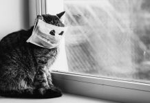 5 міфів про коронавірус