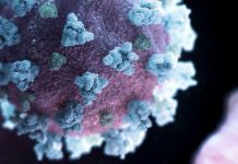 Опубліковано відео з ураженням легень коронавірусом