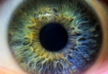 Вчені відредагували геном в тілі людини для усунення вродженої сліпоти