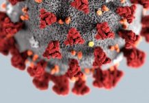 FDA одобрило тест, который определяет коронавирус в 10 раз быстрее