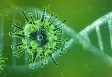 Тривалість епідемії коронавіруса і пік захворюваності в Україні – думка інфекціоніста