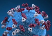 Вчені зробили відкриття як передається COVID-19