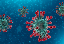 Вчені розповіли, як коронавірус може порушити роботу всього організму