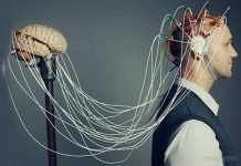 Нейромережа навчилася читати людські думки