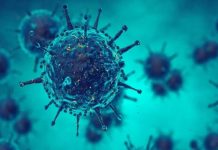 Знайдено спосіб знищити коронавірус всього за 25 секунд