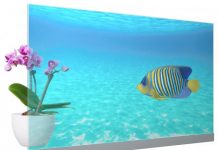Panasonic випустила свій перший прозорий OLED-дисплей