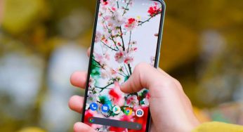 Google випустить Pixel 5 Pro, Pixel PE і Pixel mini: деталі