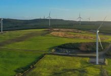 Уряд Японії планує одружити самотніх громадян за допомогою штучного інтелекту